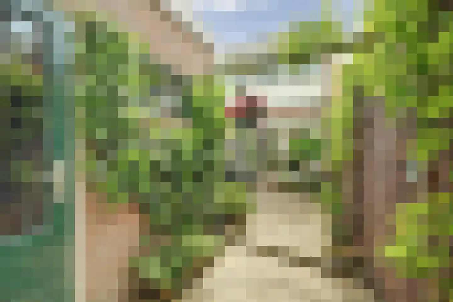 Tuindorp 48 Arnemuiden thumbnail 30