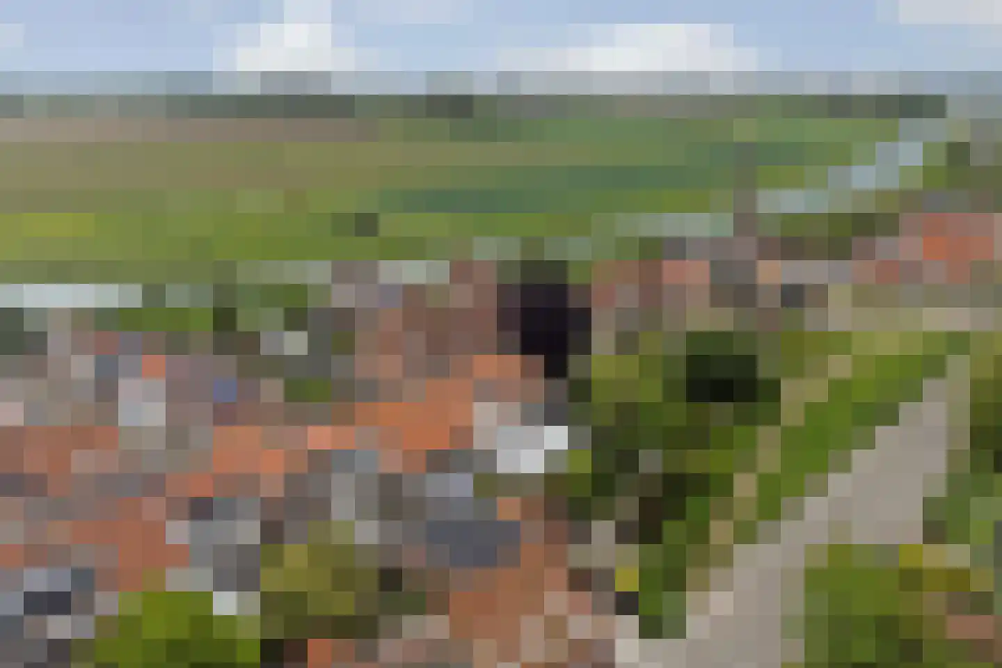 Tuindorp 48 Arnemuiden thumbnail 36