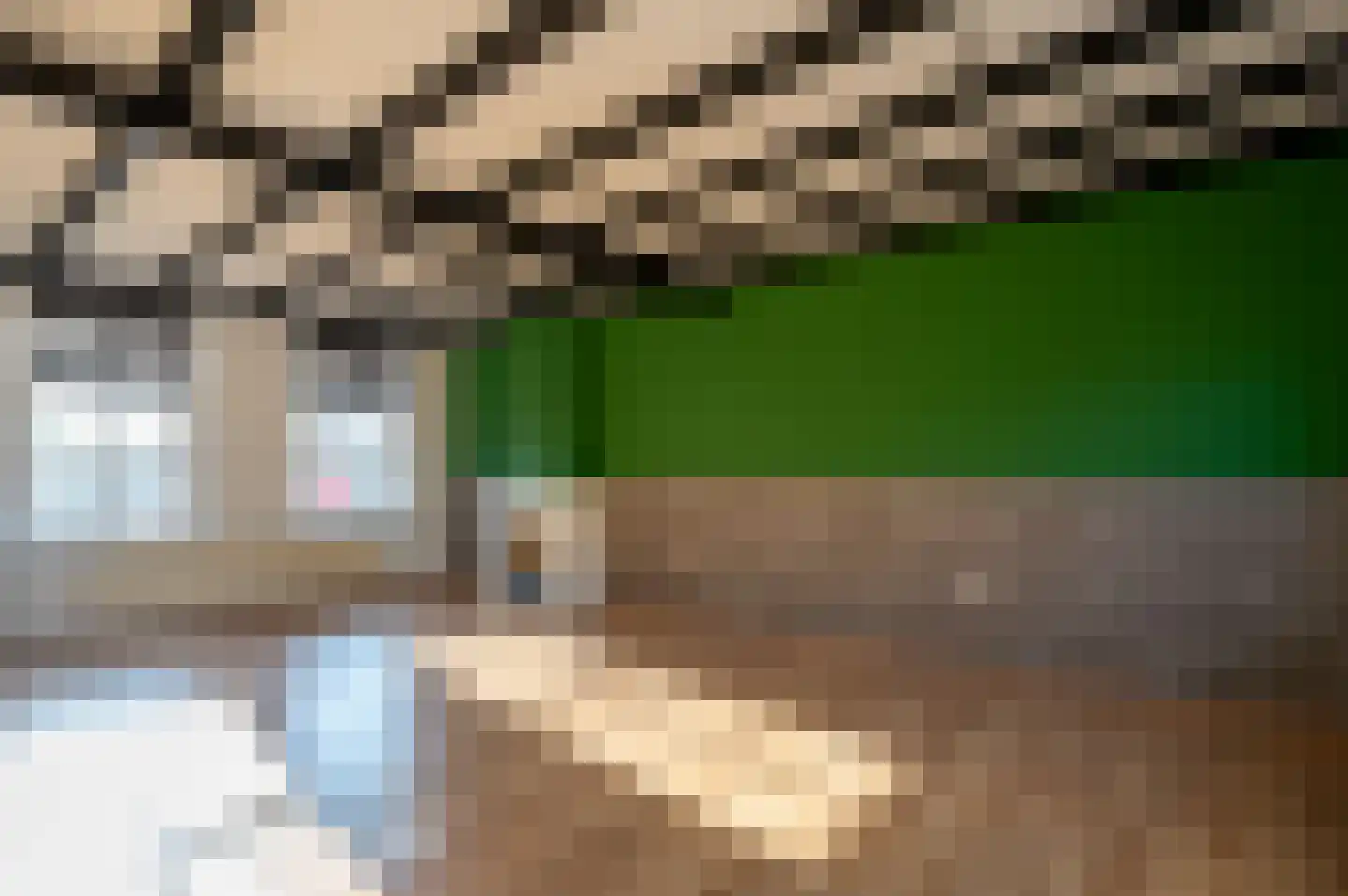 Tuindorp 56 Arnemuiden thumbnail 10