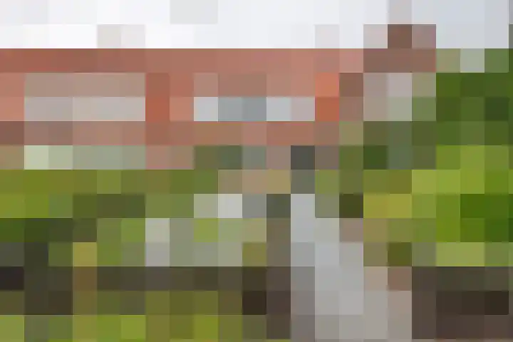 Tuindorp 9 en Geldermalsen