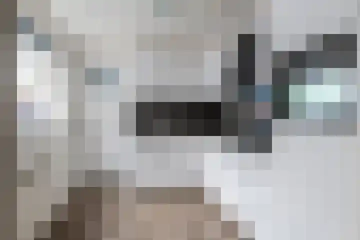 Tuindorp 9 Geldermalsen thumbnail 11