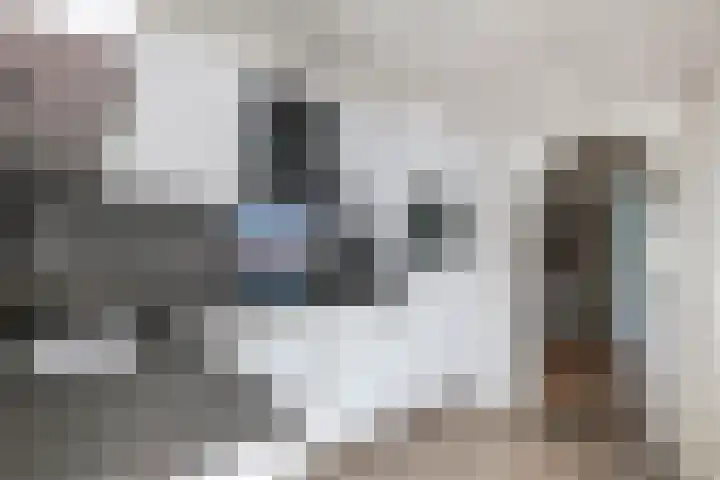 Tuindorp 9 Geldermalsen thumbnail 12