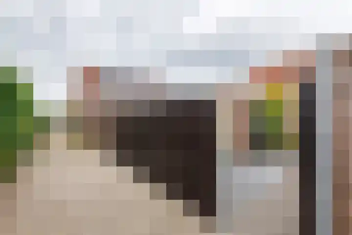 Tuindorp 9 Geldermalsen thumbnail 30