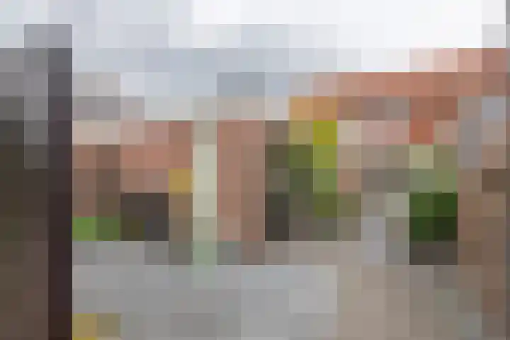 Tuindorp 9 Geldermalsen thumbnail 31