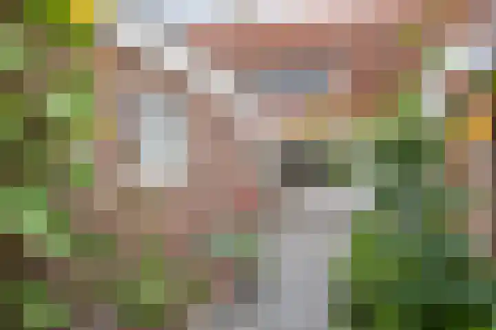 Tuindorp 9 Geldermalsen thumbnail 32