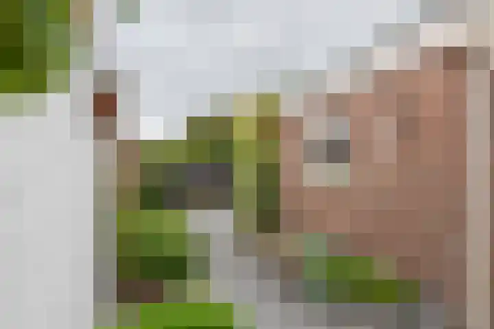 Tuindorp 9 Geldermalsen thumbnail 35