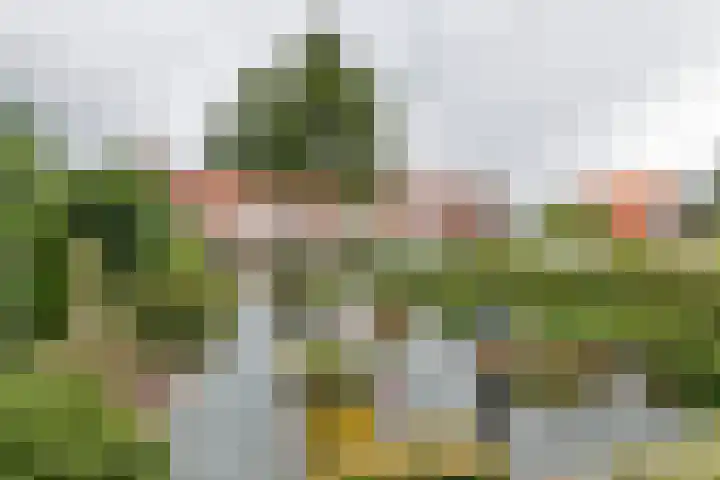 Tuindorp 9 Geldermalsen thumbnail 36