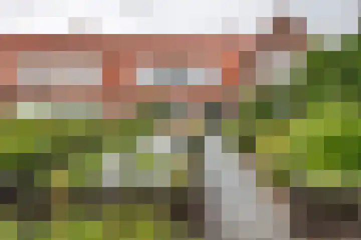Tuindorp 9 Geldermalsen thumbnail 44