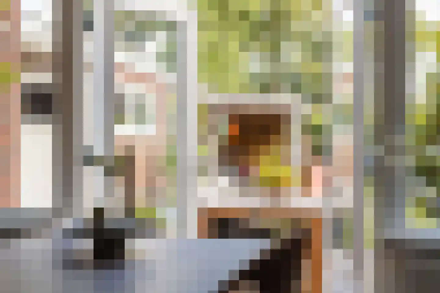 Tuindorpstraat 19 Hengelo thumbnail 21
