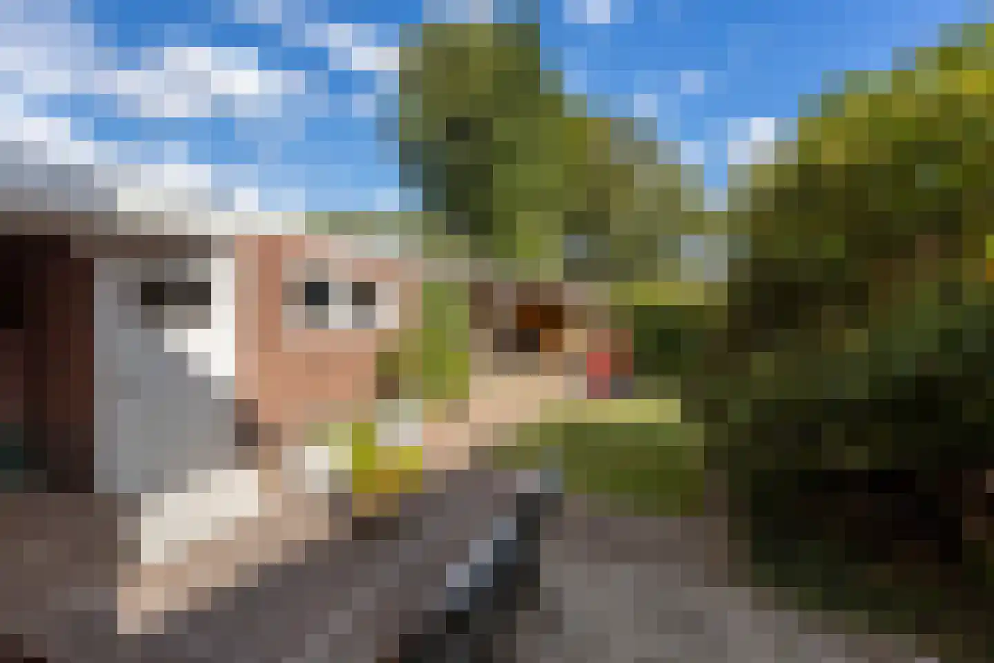 Tuindorpstraat 19 Hengelo thumbnail 38