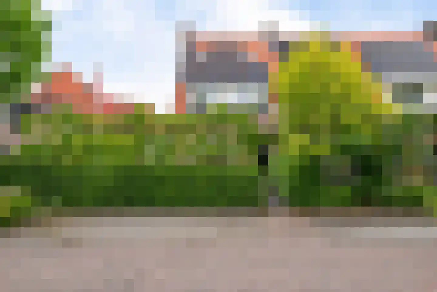 Tuindorpweg 17 Bergen (NH) thumbnail 4