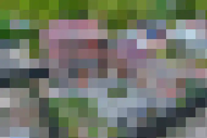 Tuindorpweg 21 Maarn thumbnail 43