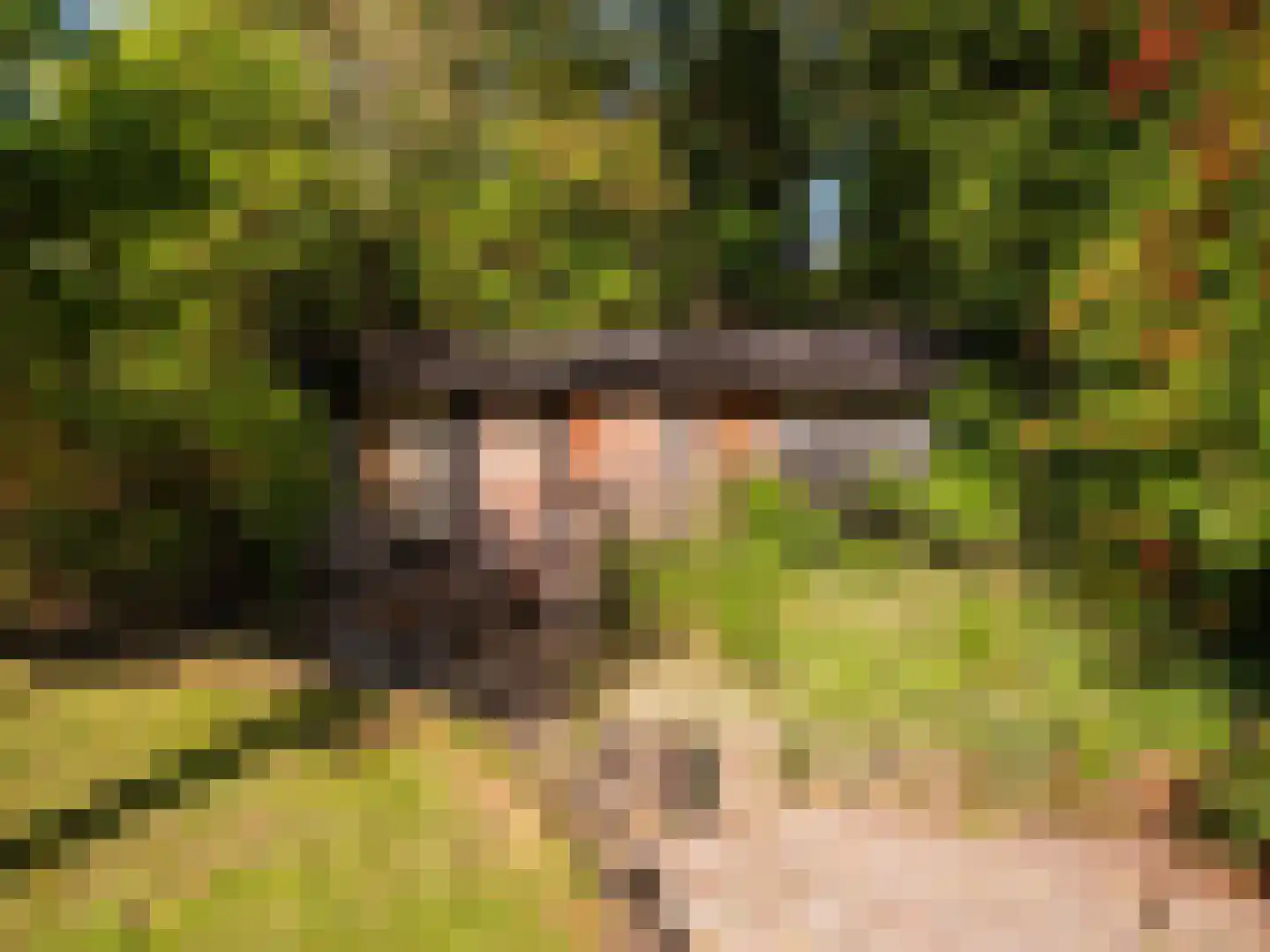Tuindorpweg 29 Bergen (NH) thumbnail 47