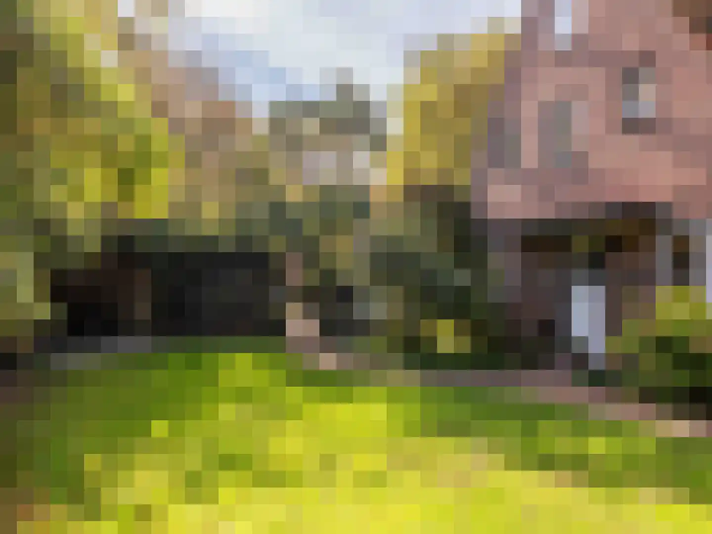 Tuindorpweg 29 Bergen (NH) thumbnail 50
