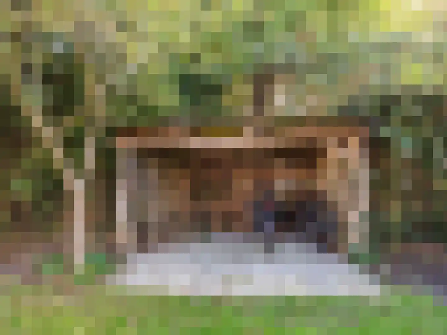 Tuindorpweg 29 Bergen (NH) thumbnail 52