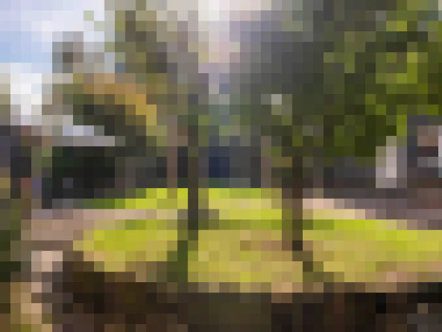 Tuindorpweg 29 Bergen (NH) thumbnail 57