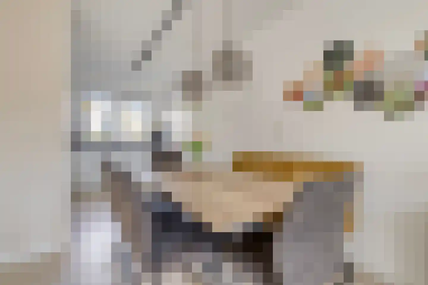 Tuindreef 3 Zoetermeer thumbnail 16
