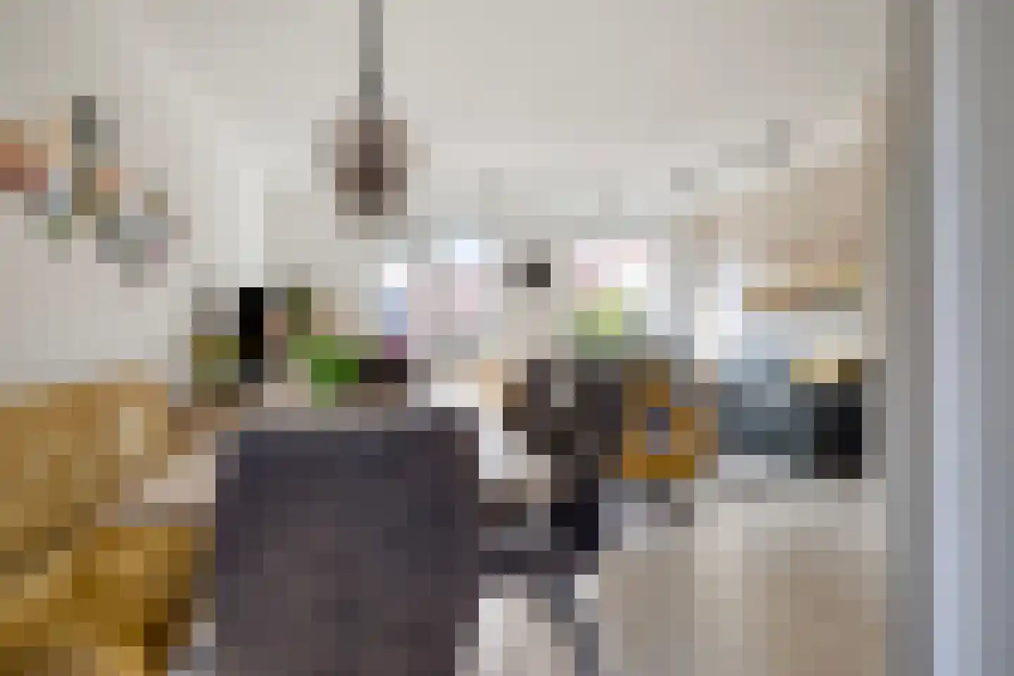 Tuindreef 3 Zoetermeer thumbnail 17