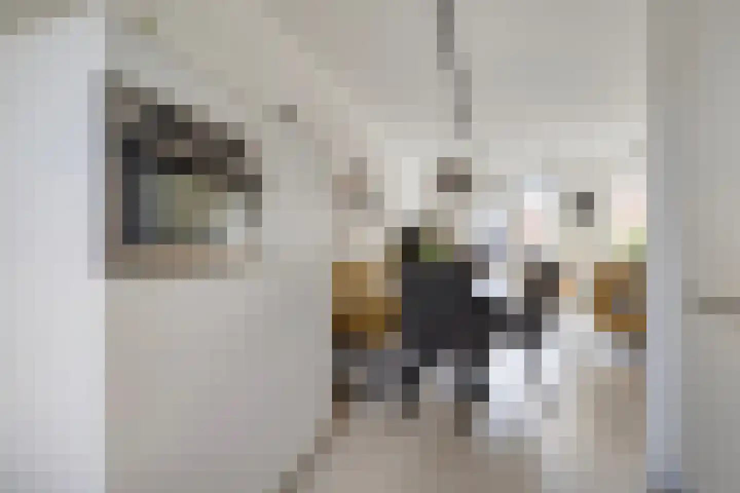 Tuindreef 3 Zoetermeer thumbnail 22
