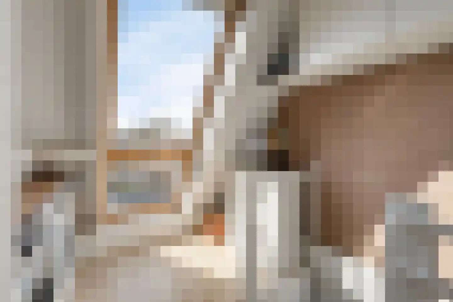 Tuindreef 3 Zoetermeer thumbnail 32