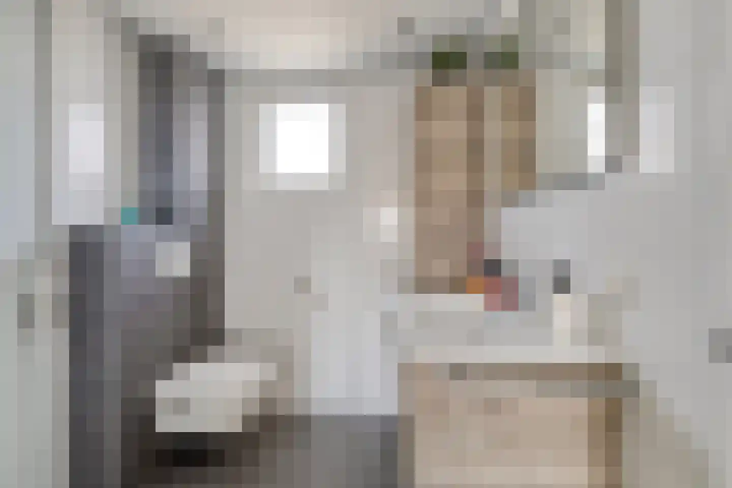 Tuindreef 3 Zoetermeer thumbnail 5