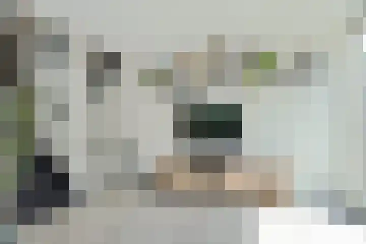 Tuindreef 43 Zoetermeer thumbnail 14
