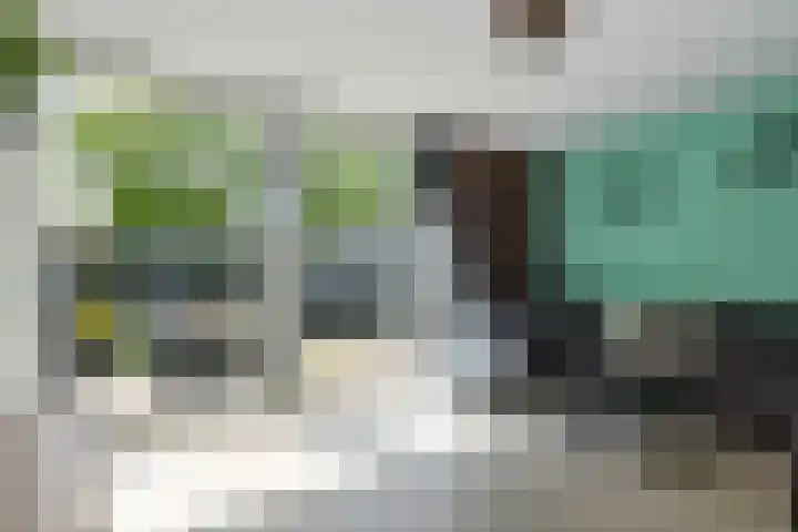 Tuindreef 43 Zoetermeer thumbnail 16