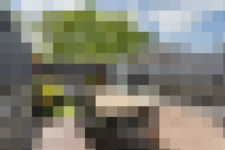 Tuindreef 43 Zoetermeer thumbnail 18