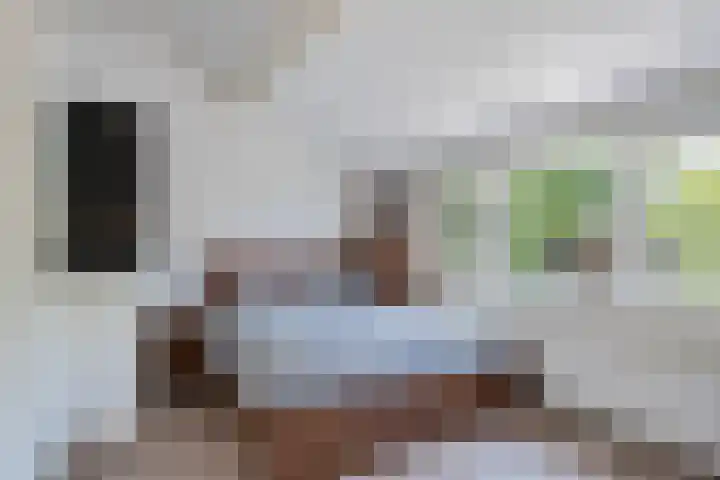 Tuindreef 43 Zoetermeer thumbnail 33
