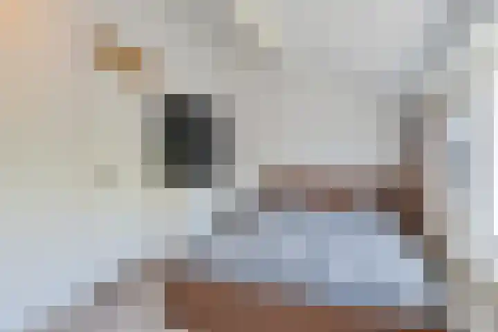 Tuindreef 43 Zoetermeer thumbnail 35