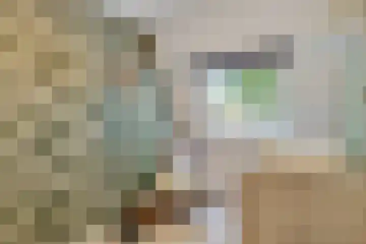 Tuindreef 43 Zoetermeer thumbnail 41