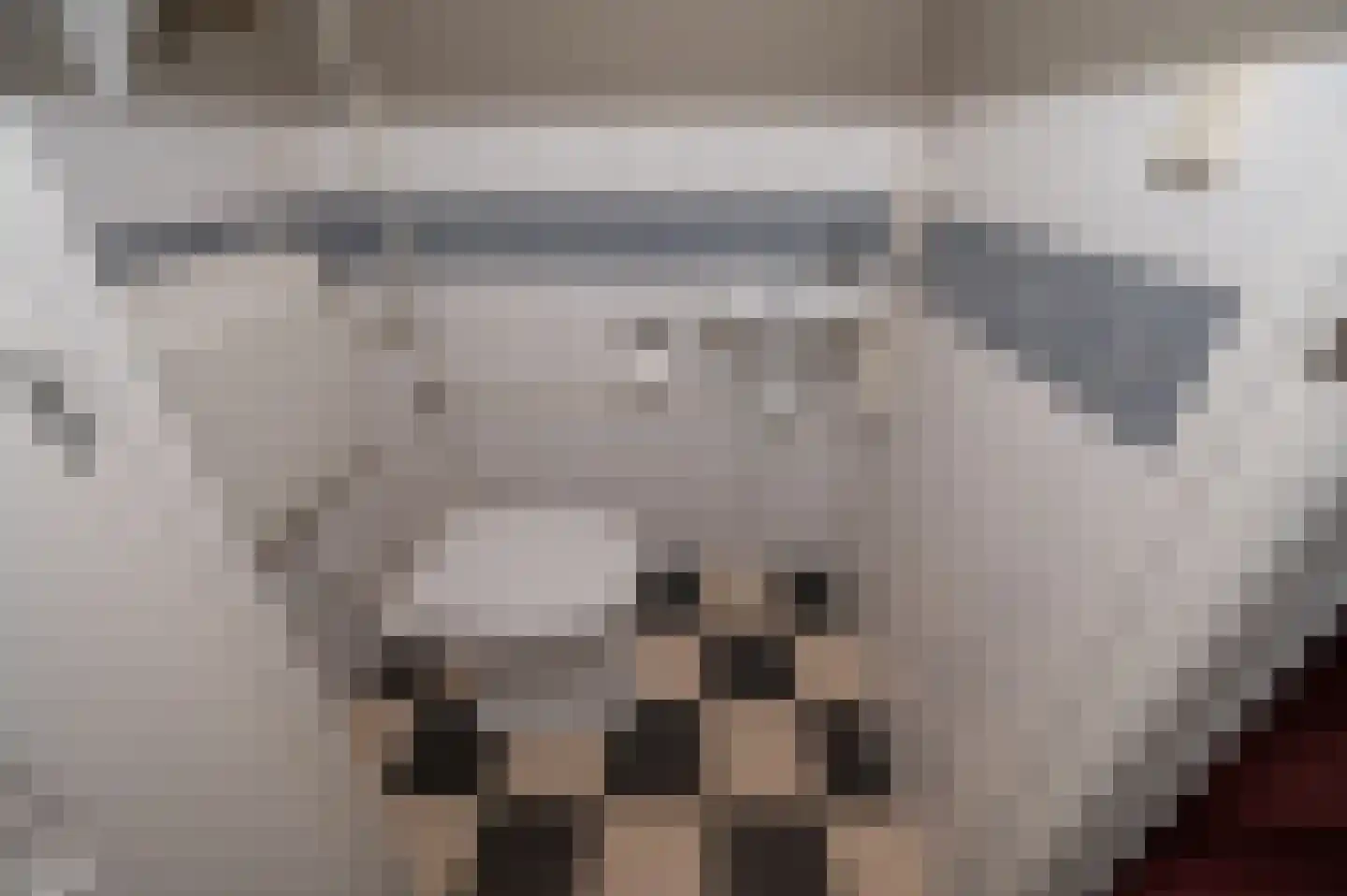 Tuindreef 48 Zoetermeer thumbnail 10