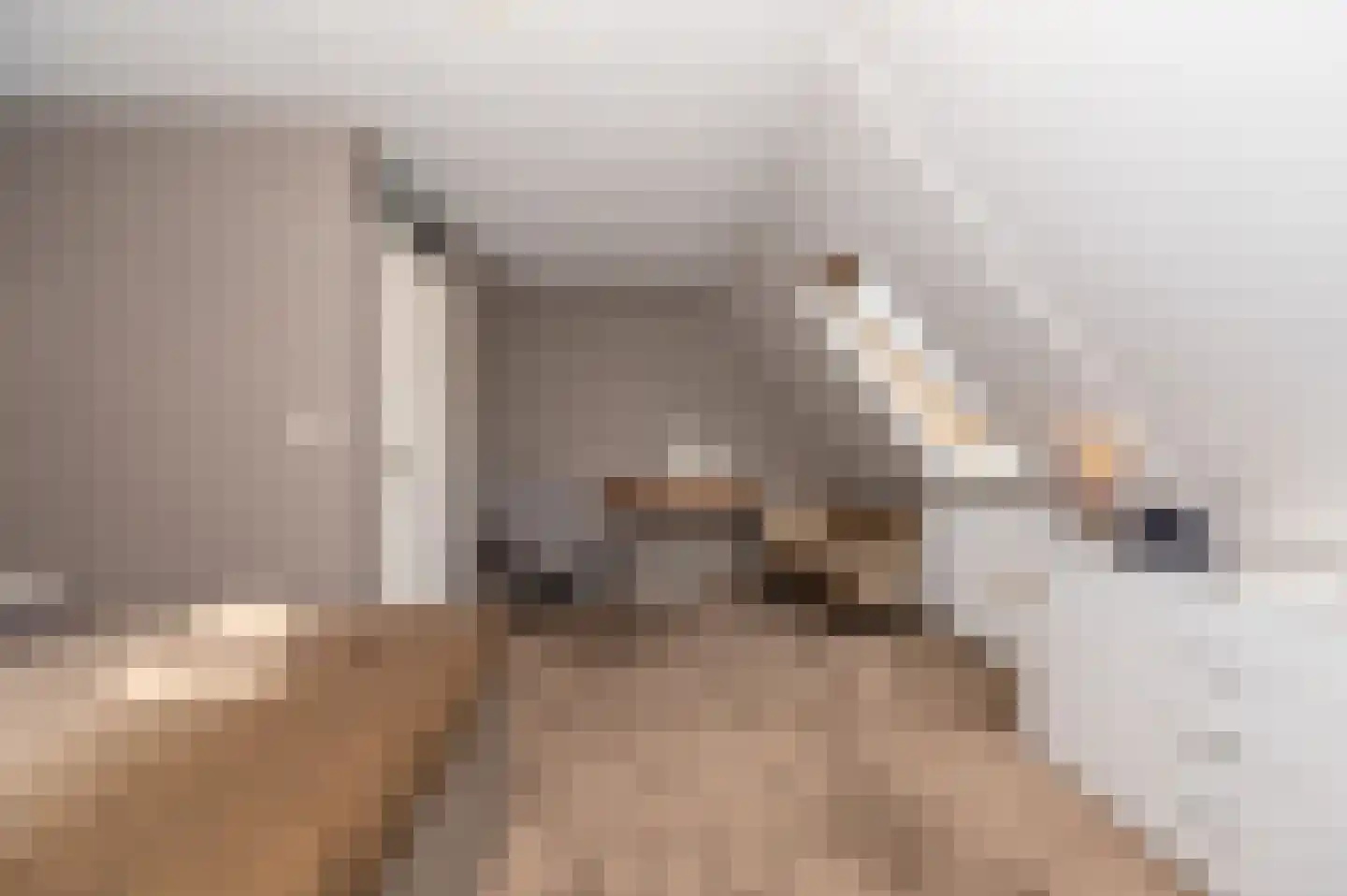Tuindreef 48 Zoetermeer thumbnail 13