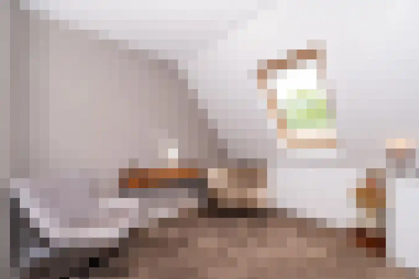 Tuindreef 48 Zoetermeer thumbnail 14