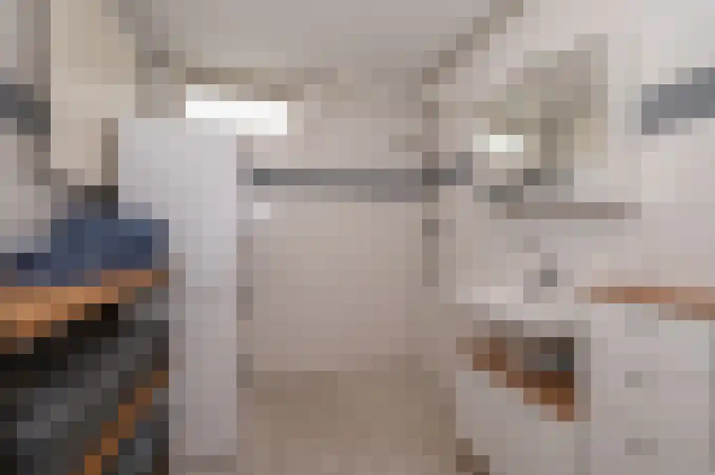 Tuindreef 48 Zoetermeer thumbnail 17
