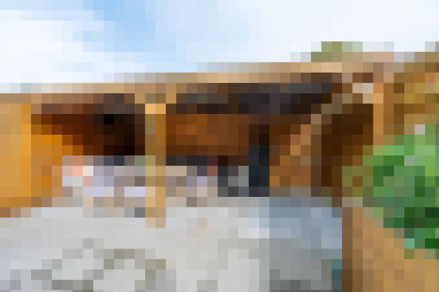 Tuindreef 48 Zoetermeer thumbnail 27