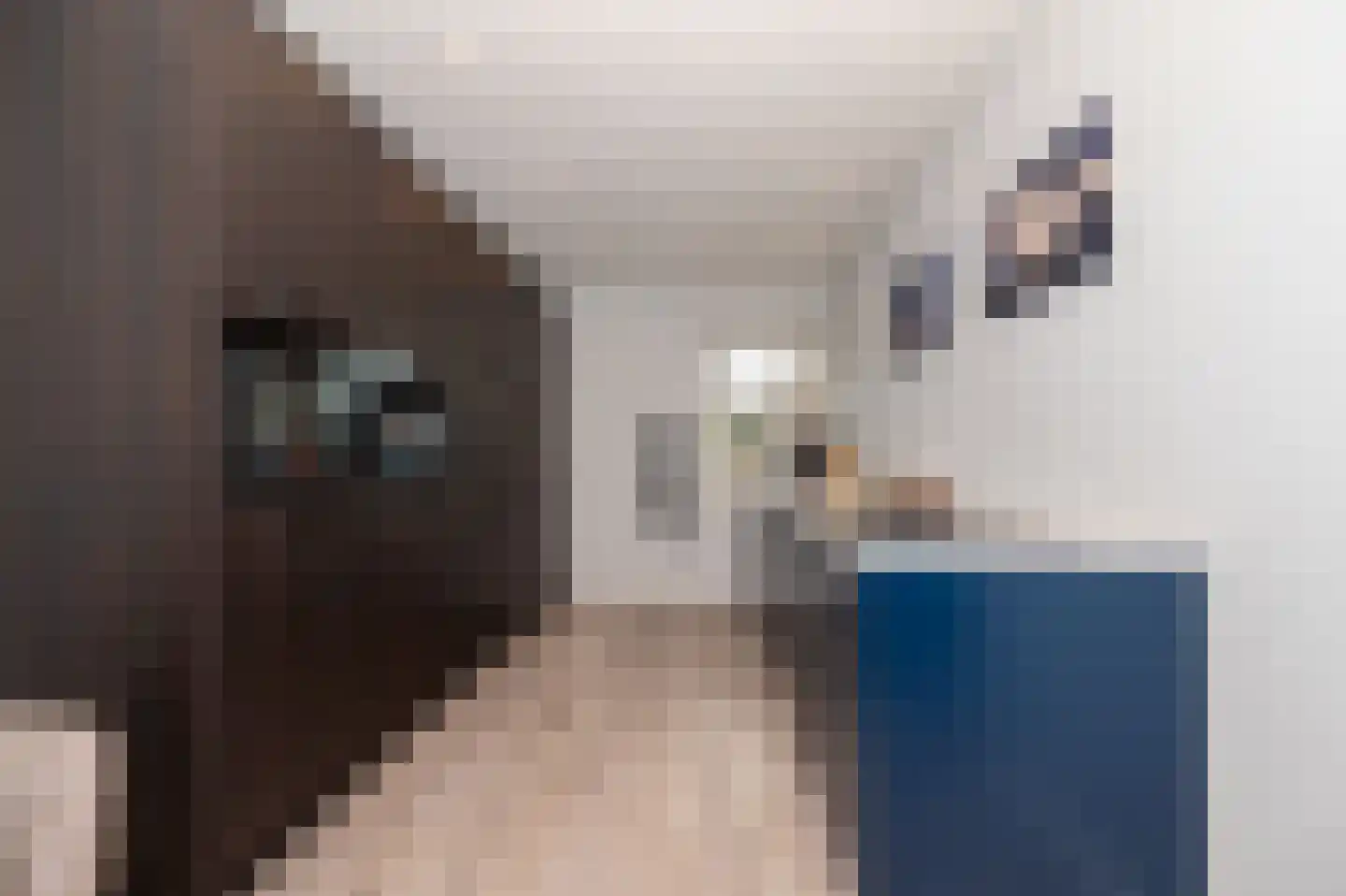 Tuindreef 48 Zoetermeer thumbnail 6
