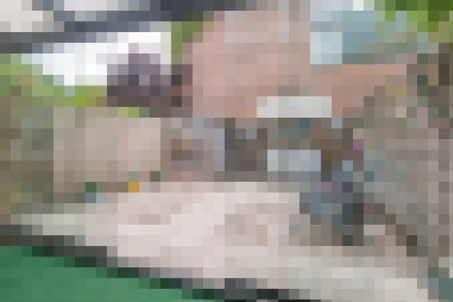 Tuindreef 99 Zoetermeer thumbnail 11