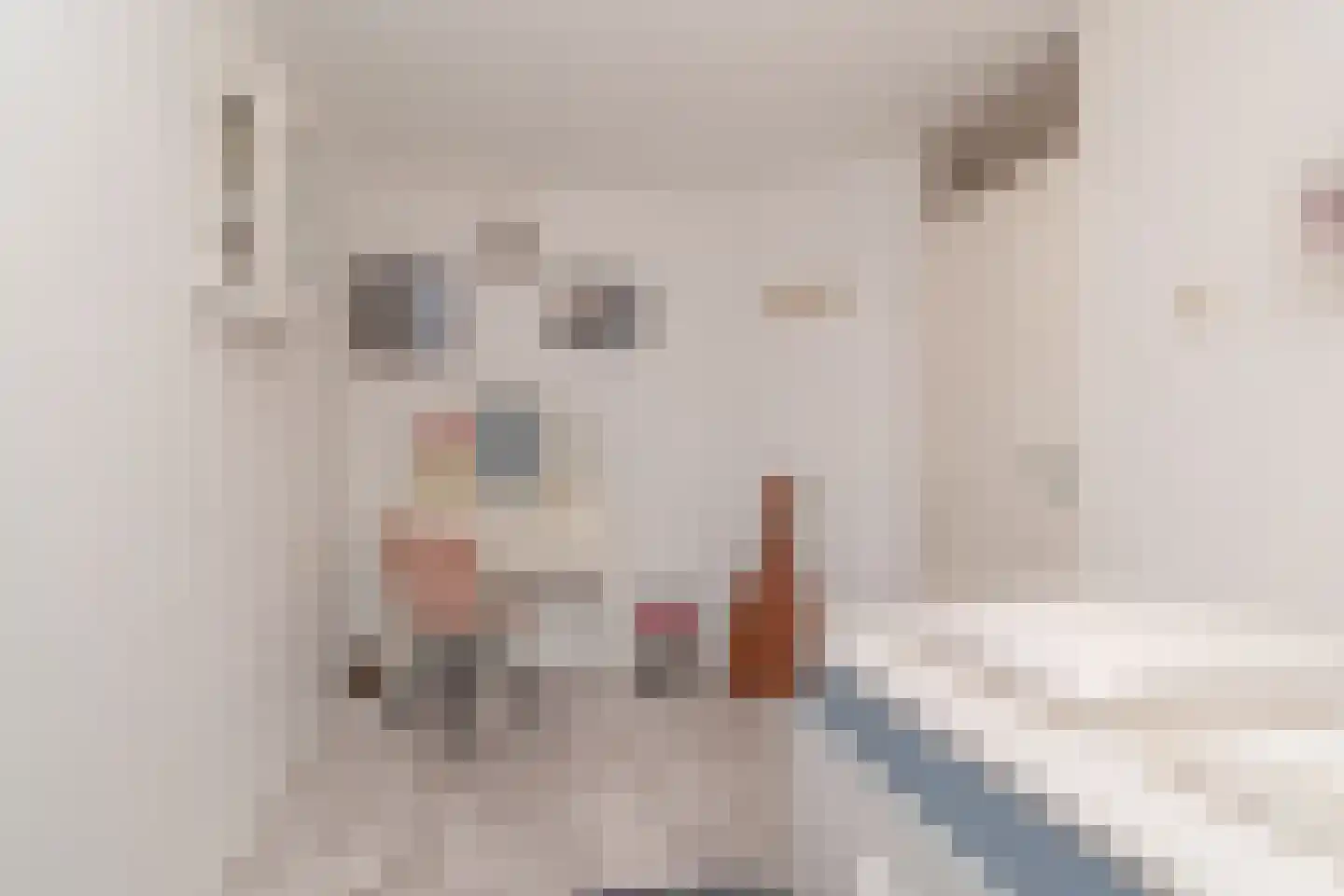 Tuindreef 99 Zoetermeer thumbnail 23