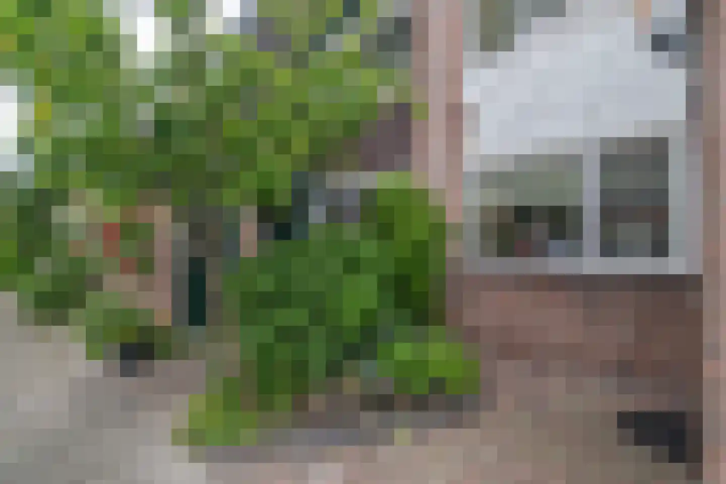 Tuindreef 99 Zoetermeer thumbnail 35