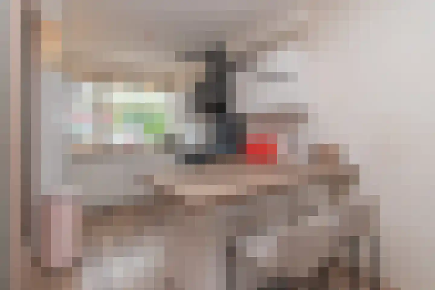 Tuindreef 99 Zoetermeer thumbnail 7