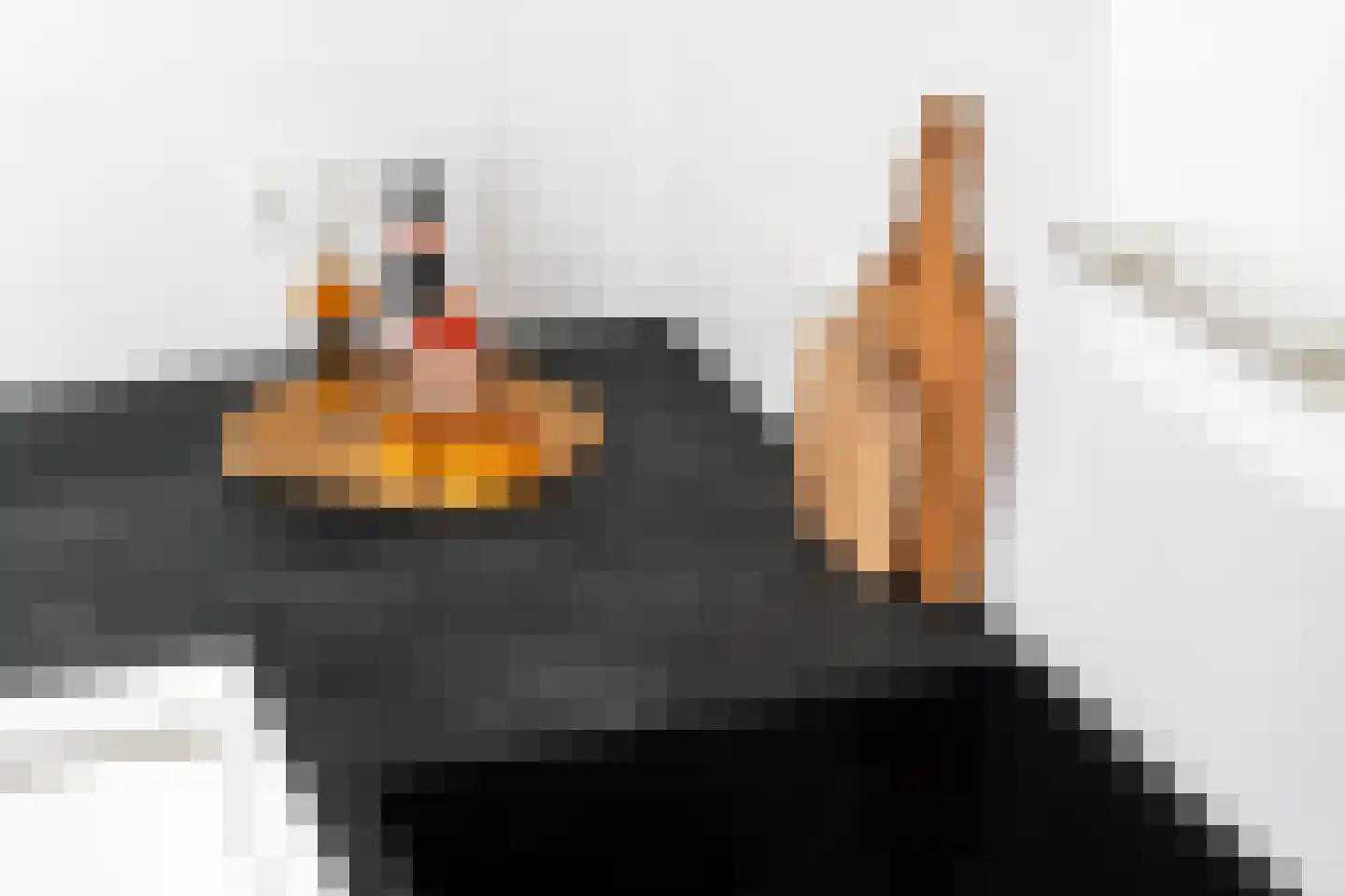Tuinen 1 Leeuwarden thumbnail 13