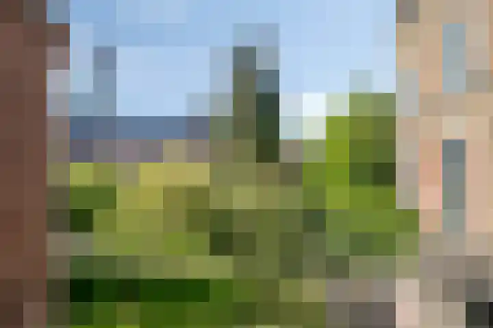 Tuinen 14 a Leeuwarden thumbnail 13