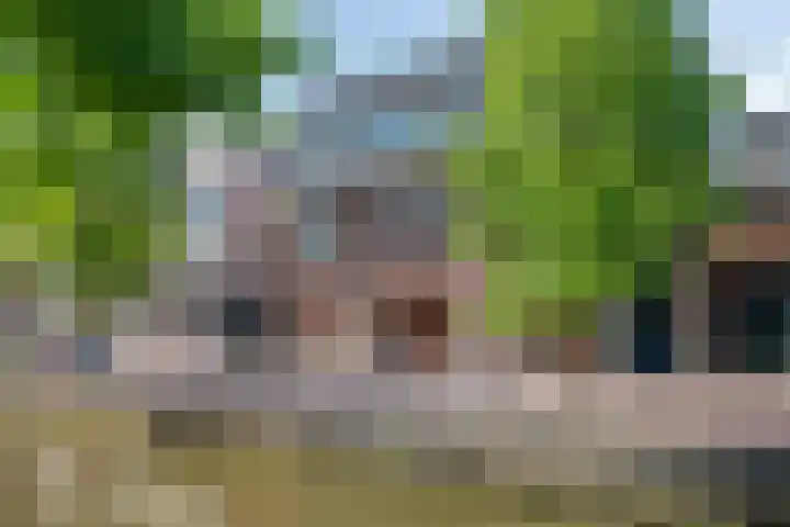 Tuinen 14 a Leeuwarden thumbnail 16