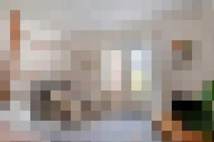 Tuinen 14 a Leeuwarden thumbnail 8