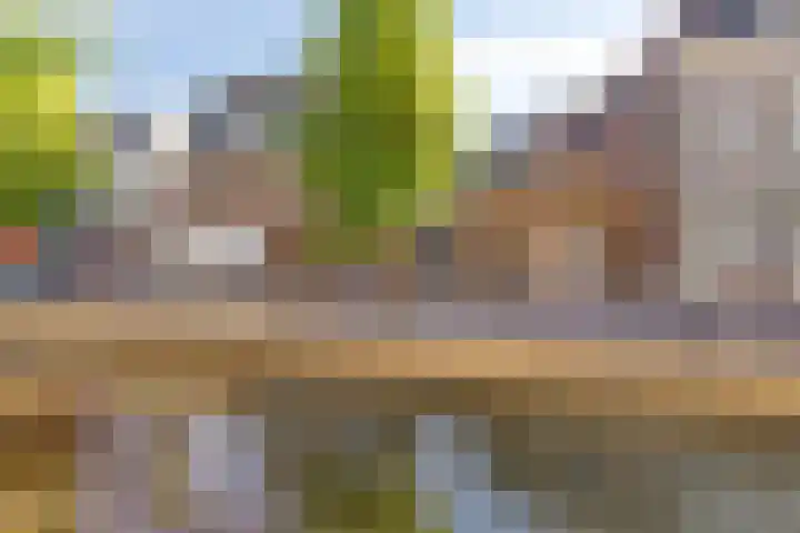 Tuinen 14 b Leeuwarden thumbnail 21