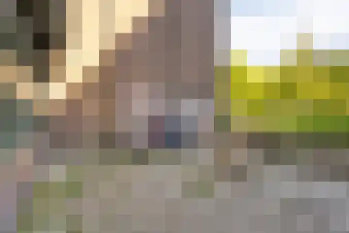 Tuinen 14 b Leeuwarden thumbnail 26