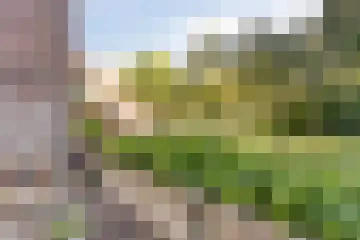 Tuinen 14 b Leeuwarden thumbnail 32