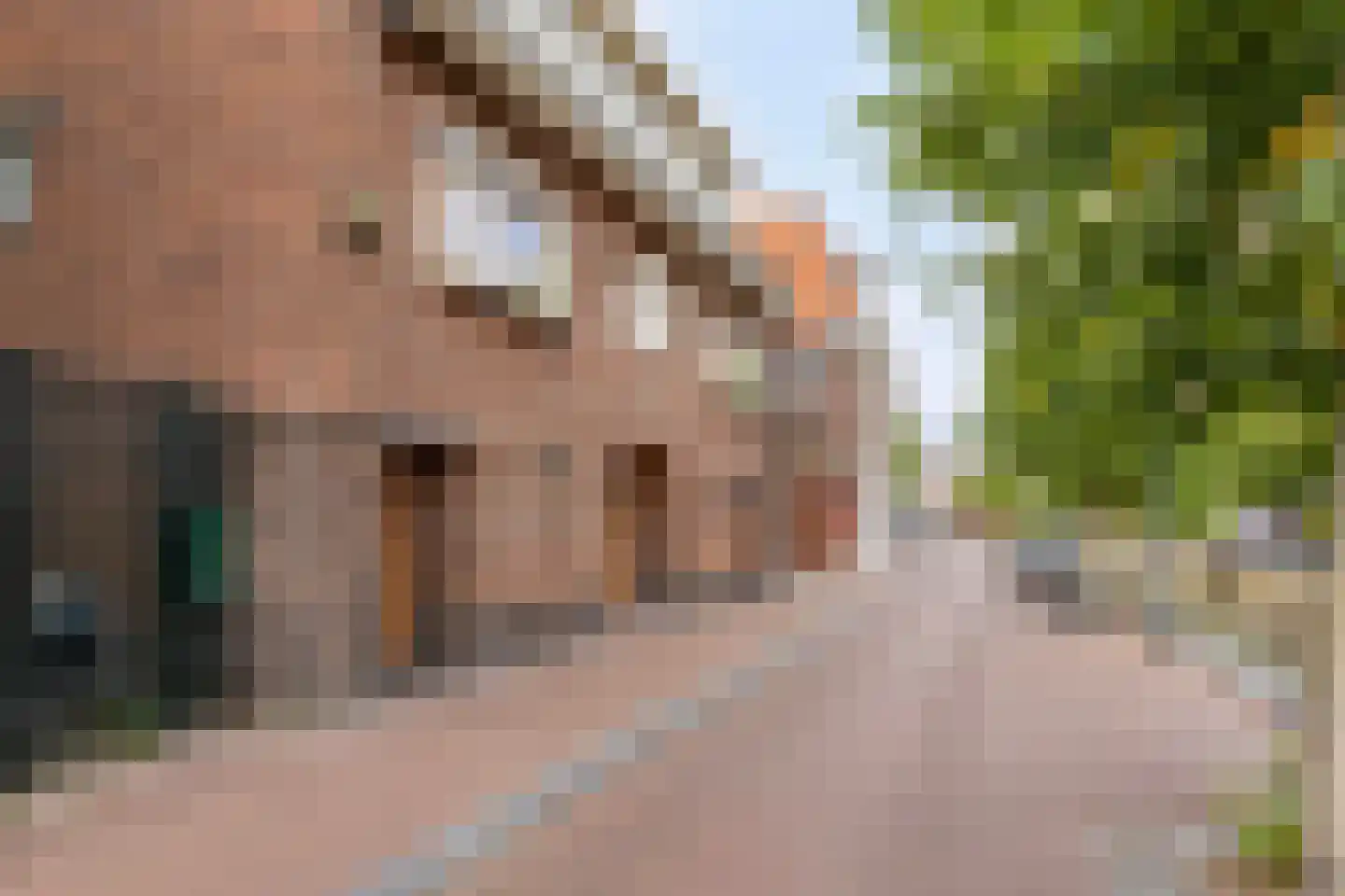 Tuinen 16 Leeuwarden thumbnail 5