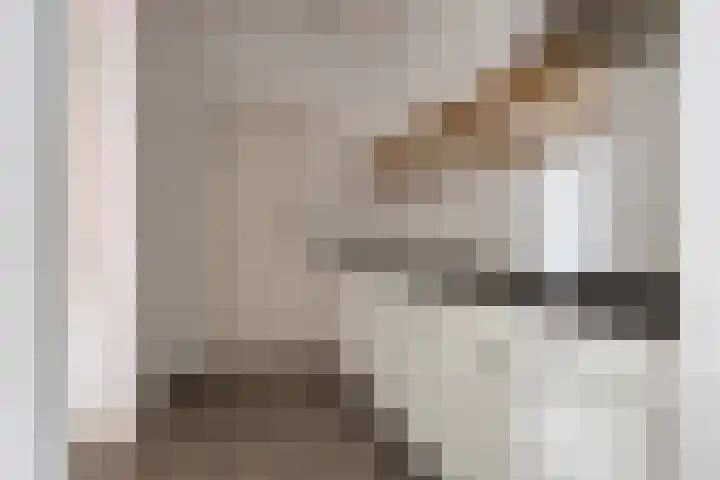 Tuinen 18 Leeuwarden thumbnail 18